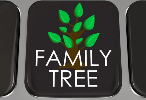 Online Ancestor Finders